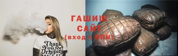 сатива Новокубанск