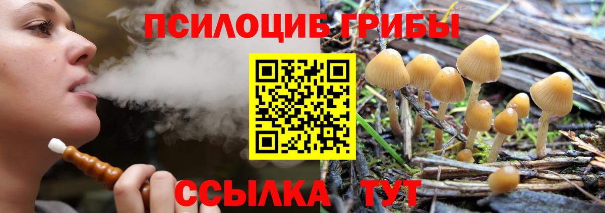Псилоцибиновые грибы MAGIC MUSHROOMS  Псилоцибиновые грибы прущие грибы  Вход с VPN  Тулун 